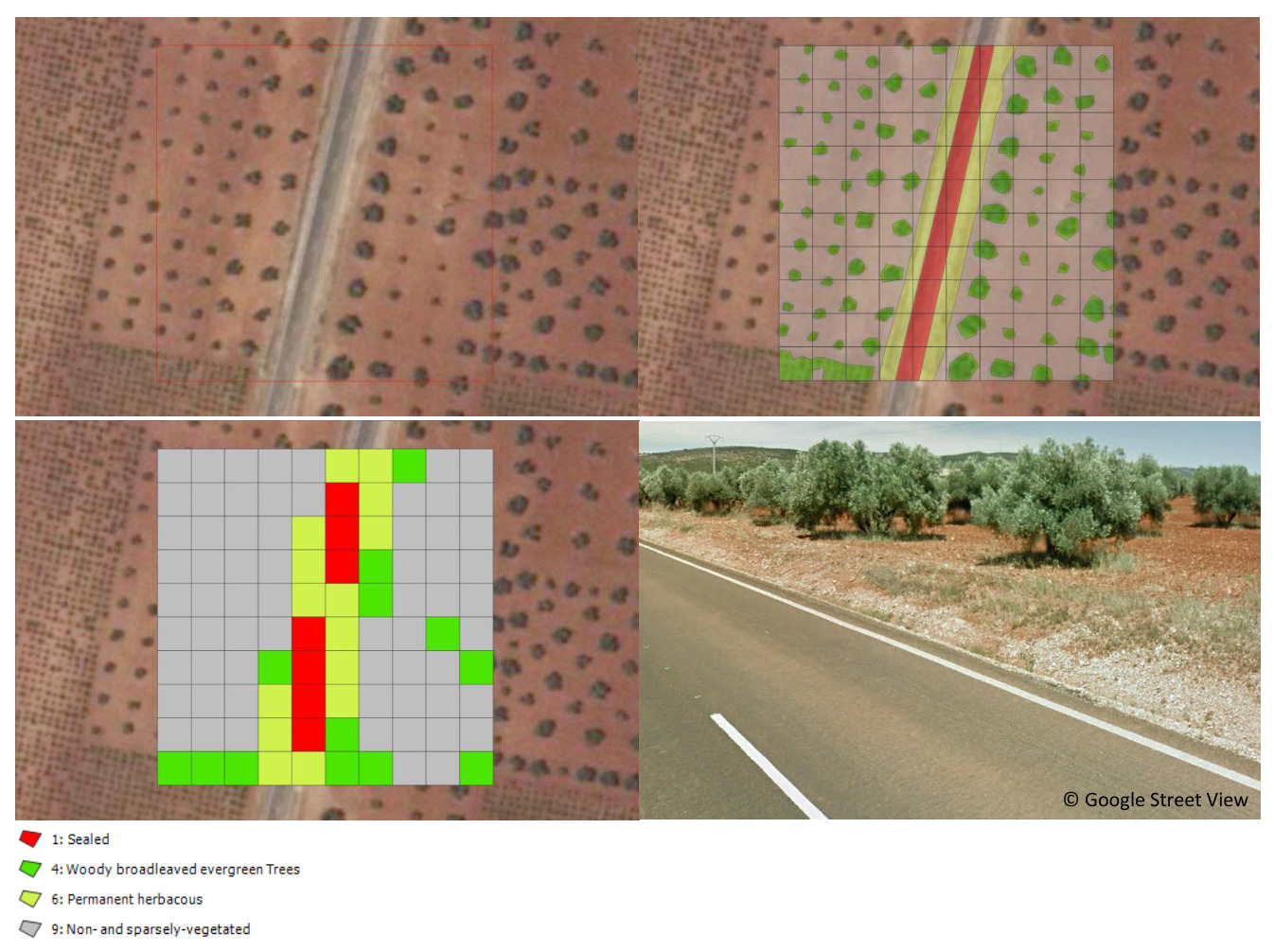 This image illustrates the Copernicus Land Monitoring Service (CLMS) land cover classification of olive groves in Southern Spain, combining aerial imagery, a classified grid, and a ground-level photograph. The top-left panel shows an aerial view of an agricultural area with scattered trees and a road, with a red bounding box highlighting the area for detailed analysis. The top-right panel displays the same area within the red box with an overlay depicting interpreted land cover features: green shapes representing trees, a red stripe for the sealed road, and light green/yellow for herbaceous cover against a bare soil background. The bottom-left panel presents the resulting land cover classification grid for the highlighted area, with cells coloured according to the legend: * Red: 1: Sealed * Dark green: 4: Woody broadleaved evergreen Trees * Yellow/Light Green: 6: Permanent herbaceous * Grey: 9: Non- and sparsely-vegetated This classification shows the sealed road (red), patches of woody broadleaved evergreen trees (dark green), and a significant prevalence of non- and sparsely-vegetated areas (grey), alongside minor occurrences of permanent herbaceous cover (yellow/light green). The bottom-right panel provides a corroborating ground-level photograph from '© Google Street View', depicting a sealed road, olive trees, and reddish bare soil with sparse understory vegetation, consistent with the classification and the described suppression of herbaceous growth in these olive groves.