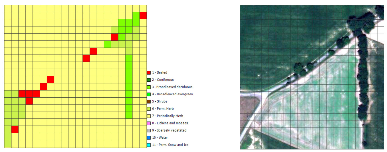 This image displays a land cover classification map on the left and its corresponding satellite imagery on the right, both overlaid with a regular grid. The classified map, representing a 12x12 grid of cells, shows colours assigned according to the provided legend: 1. **Red**: Sealed 2. **Dark Green**: Coniferous 3. **Light Green**: Broadleaved deciduous 4. **Bright Green**: Broadleaved evergreen 5. **Brown**: Shrubs 6. **Light Yellow-green**: Permanent Herbaceous (Perm. Herb) 7. **Yellow**: Periodically Herbaceous (Periodically Herb) 8. **Pink**: Lichens and mosses 9. **Grey**: Sparsely vegetated 10. **Dark Blue**: Water 11. **Light Blue**: Permanent Snow and Ice (Perm. Snow and Ice) In the classified map, the predominant land cover is yellow (7 - Periodically Herbaceous), covering most of the grid cells. Several red cells (1 - Sealed) form a diagonal linear feature across the lower-left and central parts of the grid, with a few additional scattered red cells in the upper right. A distinct vertical strip of bright green cells (4 - Broadleaved evergreen) is present along the far right edge. A small cluster of light yellow-green cells (6 - Permanent Herbaceous) is visible in the bottom-left corner. The satellite imagery on the right, also featuring a matching grid overlay, provides the real-world visual context for the classification. It depicts a landscape with a diagonal linear feature corresponding to the red 'Sealed' areas (likely a road or path), a dense line of trees on the right corresponding to the bright green 'Broadleaved evergreen' areas, and open fields or sparsely vegetated areas in between, which are classified as 'Periodically Herbaceous' and 'Permanent Herbaceous'. This example illustrates the land cover characteristics of an area, such as olive groves in Southern Spain, with the EAGLE concept's approach to disentangling land cover and land use.