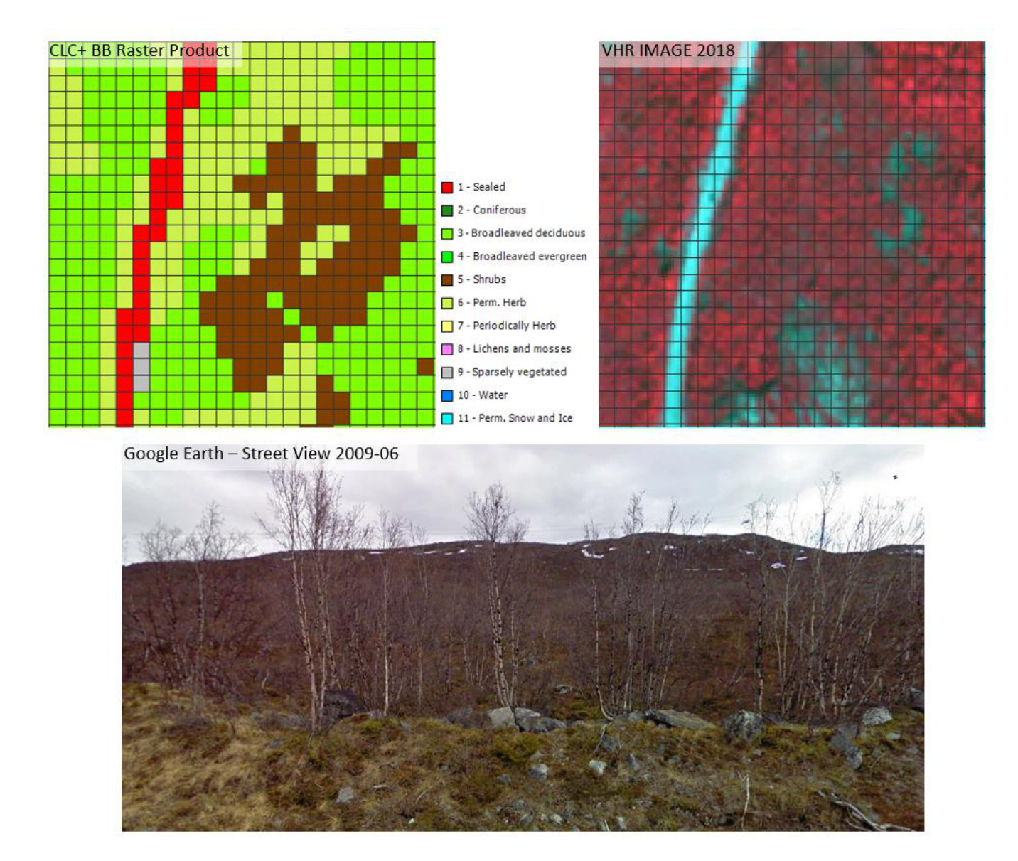 This image presents a multi-source comparison of land cover mapping for an area with sparse vegetation, combining a Copernicus Land Monitoring Service (CLMS) CLC+ BB Raster Product, Very High Resolution (VHR) imagery, and a ground-level Google Earth Street View photograph. The top left panel displays the **CLC+ BB Raster Product** with a square grid (implied 10 m pixel resolution). It uses the following colour-coded legend for 11 land cover classes: * 1 - Sealed (red) * 2 - Coniferous (dark green) * 3 - Broadleaved deciduous (light green) * 4 - Broadleaved evergreen (medium green) * 5 - Shrubs (brown) * 6 - Perm. Herb (light yellow) * 7 - Periodically Herb (yellow) * 8 - Lichens and mosses (pink) * 9 - Sparsely vegetated (grey) * 10 - Water (dark blue) * 11 - Perm. Snow and Ice (light blue) The map predominantly shows a mix of light green (Broadleaved deciduous), brown (Shrubs), and light yellow (Permanent Herbaceous) cells, with a prominent red linear feature (Sealed) running vertically on the left side, and some grey (Sparsely vegetated) cells. This reflects an area with sparse coniferous tree cover and herbaceous understory where the dominant cover is mapped as Permanent Herbaceous (Class 6). The top right panel shows **VHR IMAGE 2018**, overlaid with the same square grid. This image is a false-colour representation, likely near-infrared, where a prominent light blue linear feature (corresponding to the red 'Sealed' class in the CLC+ BB product) traverses the scene. Surrounding areas display varied reddish tones (indicating sparse vegetation, soil, or rock) and greenish-blue patches (indicating denser vegetation). The bottom panel provides a **Google Earth – Street View 2009-06** photograph, showing a ground-level view of a sparsely vegetated landscape. It features numerous bare deciduous trees, rocky ground, and patches of herbaceous vegetation and moss. Hills or mountains with some visible snow patches are in the background under an overcast sky. This photograph serves as ground truth for the land cover products, illustrating the actual appearance of the 'sparse coniferous tree cover and herbaceous understory' described in the accompanying text, which is dominantly mapped as Permanent Herbaceous (Class 6) in the CLC+ BB product.