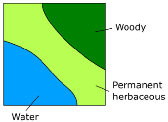 A conceptual map illustrating the spatial distribution of three distinct land cover classes within a square area. The top-right section is coloured dark green and labelled 'Woody'. A curved diagonal band running from the top-left to the bottom-right is coloured light green and labelled 'Permanent herbaceous'. The bottom-left section is coloured blue and labelled 'Water'. The image depicts a simplified arrangement of these land cover types, likely representing a grid cell or a small land parcel. No specific geographic location, scale bar, or compass is provided.