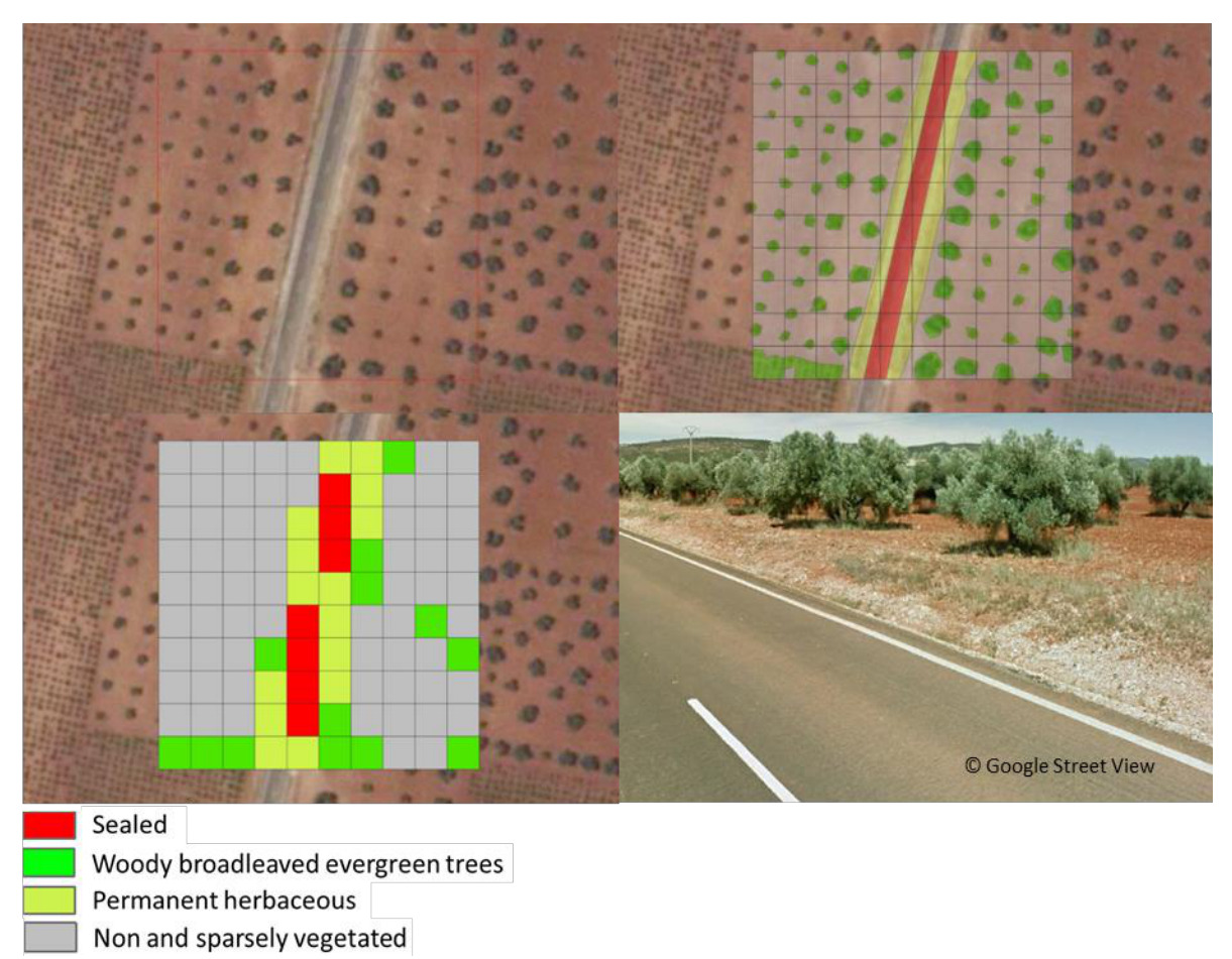 This image illustrates the application of CLC+ (Copernicus Land Monitoring Service CORINE Land Cover plus) land cover classification, showing an aerial view and a ground-level photograph of a rural landscape with olive groves and a road. The image is divided into four panels. The top-left panel displays an aerial photograph of a landscape featuring a road, numerous trees, and sparse reddish-brown soil. The top-right panel superimposes a grid over the aerial photograph, conceptually outlining areas as 'Sealed' (red, the road), 'Permanent herbaceous' (yellow, road verges/fields), and 'Woody broadleaved evergreen trees' (green, individual tree canops). The bottom-left panel shows the same aerial view with a detailed land cover classification grid. This grid uses four colours defined by the legend at the bottom: - Red: Sealed (representing the road surface) - Green: Woody broadleaved evergreen trees (individual tree canopies) - Light green/yellow: Permanent herbaceous (sparse vegetation and field areas) - Grey: Non and sparsely vegetated (bare soil or very sparse cover). The bottom-right panel displays a ground-level photograph from '© Google Street View' showing a paved road with white lines, and an adjacent field of olive trees with reddish soil. The classification grids exemplify how mixed land cover at the 10m spatial resolution scale can be assigned to dominant land cover classes, as per the CLC+ backbone definitions.