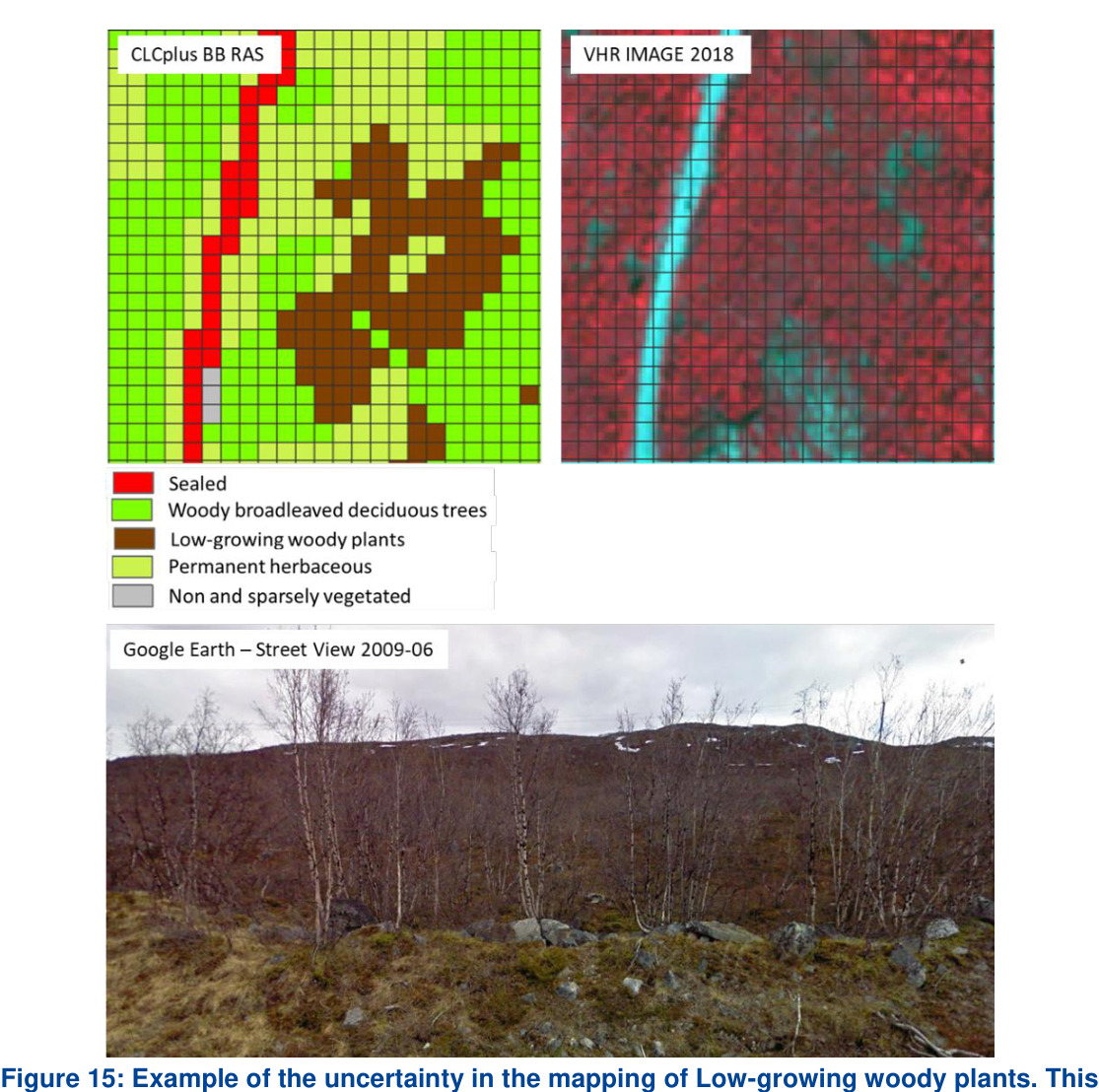 The image illustrates the uncertainty in mapping 'Low-growing woody plants' by comparing a Copernicus Land Monitoring Service (CLMS) CORINE Land Cover plus Backbone (CLCplus BB RAS) classification with a Very High Resolution (VHR) image and a Google Earth Street View photograph. The upper left panel, labelled 'CLCplus BB RAS', presents a gridded land cover map with the following legend: - Red: Sealed - Dark Green: Woody broadleaved deciduous trees - Brown: Low-growing woody plants - Light Green: Permanent herbaceous - Grey: Non and sparsely vegetated This panel shows a linear feature classified as 'Sealed' (red) running vertically, bordered by 'Permanent herbaceous' (light green) and areas of 'Woody broadleaved deciduous trees' (dark green) and 'Low-growing woody plants' (brown) to the right. The upper right panel, labelled 'VHR IMAGE 2018', displays the same gridded area as a false-colour composite Very High Resolution image from 2018. A prominent cyan linear feature corresponds to the red 'Sealed' class in the CLCplus map. Adjacent areas show spectral variations in shades of red, with patches of lighter red and some cyan tones, representing various vegetation types or sparse cover. The lower panel, labelled 'Google Earth – Street View 2009-06', is a ground-level photograph showing a landscape with sparsely distributed deciduous trees (consistent with 'Low-growing woody plants' or 'Woody broadleaved deciduous trees'), rocky ground, and dry herbaceous vegetation. This photograph provides a ground truth perspective to contextualize the land cover classifications. The overall image highlights that the gridded CLCplus BB RAS classification provides a generalized view of the complex and mixed land cover, particularly demonstrating the challenges and potential uncertainties in precisely mapping and differentiating 'Low-growing woody plants' from other vegetation types or non-vegetated areas when compared to detailed VHR imagery and ground-level observations.