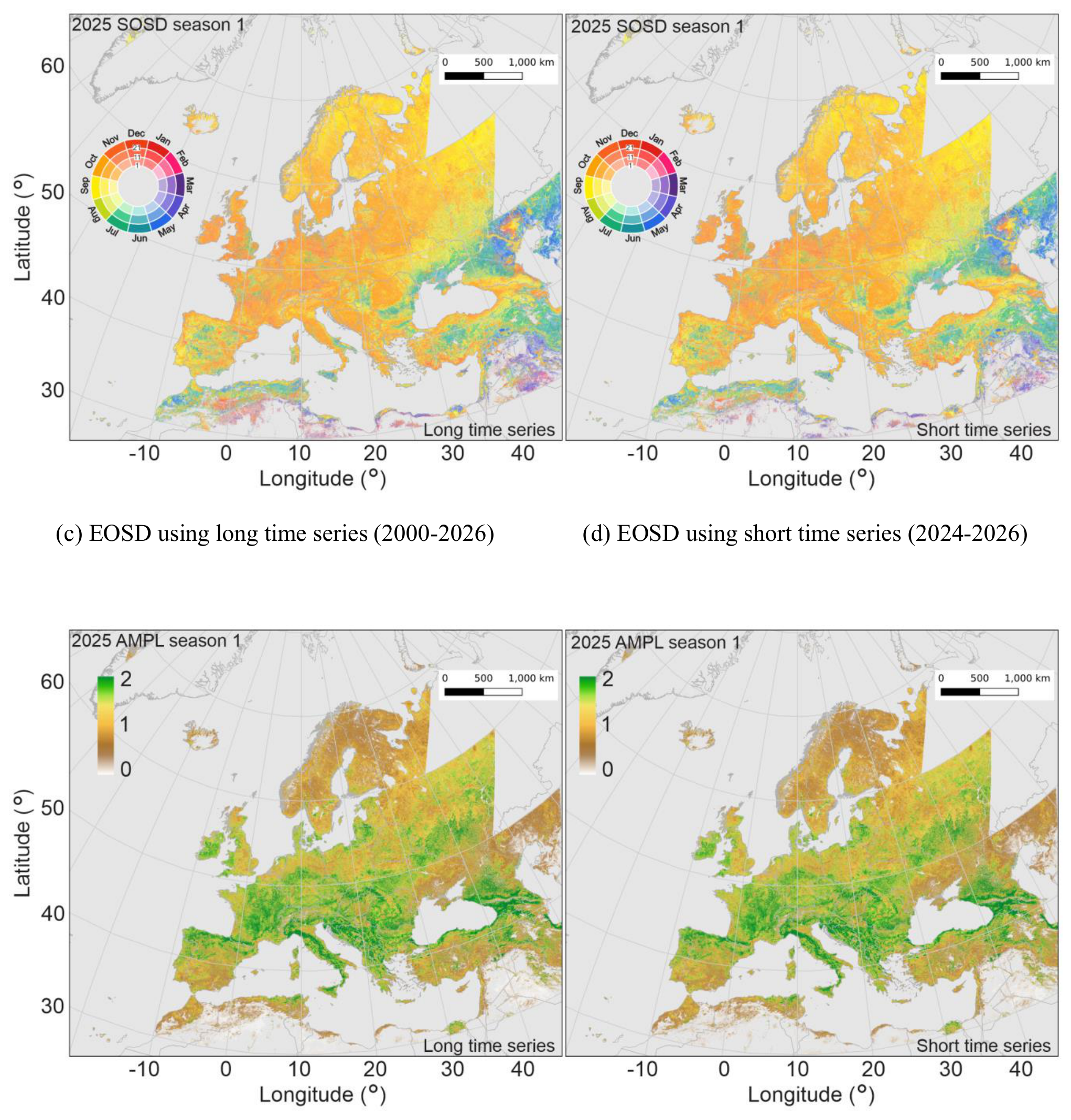 Four choropleth maps depicting Vegetation Phenology and Productivity (VPP) metrics across Europe, comparing results derived from long and short input time series for 2025. The geographic area spans approximately 25° to 70° North Latitude and -20° to 45° East Longitude, covering continental Europe, parts of Scandinavia, North Africa, and the Middle East. Each map includes a scale bar from 0 to 1,000 km. The top row displays End Of Season Day (EOSD) for season 1, with the map titles '2025 SOSD season 1' but captioned as '(c) EOSD using long time series (2000-2026)' (left panel) and '(d) EOSD using short time series (2024-2026)' (right panel). The colour legend is a circular wheel indicating months, ranging from red (January) through yellow/green (spring/summer) to blue/purple (autumn/winter), with markers at 1 (Jan), 11 (Nov), and 21 (Sept). Across Europe, EOSD predominantly falls between July and October (yellow to orange-red hues). Mediterranean regions show earlier EOSD (July-August, yellow-green), while central and northern Europe show later EOSD (August-October, orange). The bottom row displays Amplitude (AMPL) for season 1, titled '2025 AMPL season 1', comparing the 'Long time series' (left panel) and 'Short time series' (right panel). The linear vertical colour scale ranges from 0 (brown) to 2 (green), representing increasing amplitude. Higher amplitude values (darker green) are observed in temperate forest and agricultural regions of Central and Eastern Europe, the UK, and Ireland, indicating pronounced seasonal vegetation cycles. Lower amplitude values (yellow to brown) are visible in Mediterranean areas, parts of Scandinavia, and semi-arid North African regions, signifying less distinct seasonal vegetation changes. For both EOSD and AMPL, the spatial patterns and colour distributions are visually highly consistent between the long time series (2000–2026) and short time series (2024–2026) implementations, demonstrating strong agreement in the derived VPP metrics across Europe.