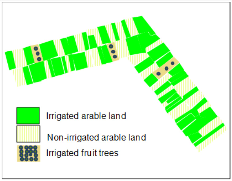 A conceptual map displaying an agricultural area composed of multiple parcels, categorised into three land cover/land use types based on colour and pattern coding. The legend defines: * Solid green polygons: 'Irrigated arable land'. These represent the most extensive areas. * Light yellow polygons with vertical striping: 'Non-irrigated arable land'. These parcels are interspersed among the irrigated arable land. * Light brown/beige rectangular polygons containing a grid of dark blue/black circular dots: 'Irrigated fruit trees'. These are smaller, distinct features located within the larger agricultural area. The map illustrates the spatial distribution and differentiation of irrigated and non-irrigated agricultural fields and intensively managed fruit tree plantations. No scale bar, compass, or specific geographic location is indicated on the map itself.