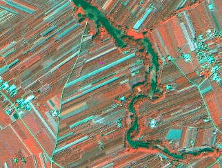 An aerial or satellite false-colour infrared composite image depicting a rural landscape. A prominent, meandering river, appearing dark greenish-blue, flows from the upper right quadrant towards the lower left. Along the river banks, areas of dense vegetation are visible in dark green hues. The majority of the land area is composed of numerous rectangular agricultural fields, which are rendered in various shades of red, reddish-brown, and purplish-pink, indicating different crop types or stages of vegetation growth. Scattered small clusters of white and light blue features, likely representing buildings, indicate sparse settlements, predominantly located in the upper right and lower left sections of the image. Thin linear features, possibly roads or field boundaries, delineate the agricultural plots. No text, labels, or scale information is visible.