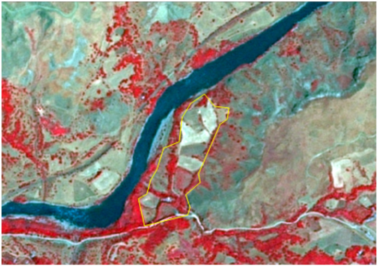 This image displays Satellite Pour l'Observation de la Terre 5 (SPOT-5) satellite imagery from 2010-07-14, with a 2.5 m resolution, using a Near-Infrared/Red/Green (NIR/R/G) band combination. The image depicts a heterogeneous landscape in Germersheim, Germany, classified as land cover category 2.3.3.0 ('Land principally occupied by agriculture with significant areas of natural vegetation'). A prominent dark blue river runs diagonally across the image from the upper left to the lower right. Along its banks, and interspersed with areas of lighter green and brown natural terrain, are patches of vibrant red vegetation, indicating healthy biomass due to the NIR band combination. Several agricultural parcels, appearing as lighter beige/green irregular shapes, are visible. A specific area of interest, encompassing a mix of these agricultural fields and surrounding natural vegetation, is highlighted by a yellow polygon outline on the left bank of the river. The imagery source is CNES 2011©, distributed by Airbus DS/Spot Image.