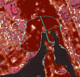 This map displays detailed false-colour infrared (FCIR) satellite imagery of a coastal or lakeside landscape, overlaid with pixelated thematic data and vector boundaries. The base imagery shows vegetation in reddish-pink (e.g., top-left), water bodies in very dark blue/black (bottom centre-left), and developed or urban areas in lighter, yellowish-beige tones (top-left, bottom-left). A pixelated thematic layer, ranging from dark reddish-brown to lighter yellowish-brown, is overlaid on the base imagery. Darker reddish-brown pixels cover a significant central area, while lighter yellowish-brown pixels are scattered throughout. A prominent cyan (turquoise) line outlines a large, irregular polygon, which encompasses a substantial portion of the dark reddish-brown pixelated area and includes internal segments. Green dashed lines are visible in the lower-left and lower-right portions of the map, and some dotted lines extend from the cyan polygon. No legend, scale bar, compass, or specific geographic location is provided.