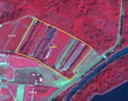 A false-colour satellite image, captured on 2011-07-16 by SPOT-5 at 2.5 m resolution using a Near-Infrared/Red/Green (NIR/R/G) band combination, depicts an agricultural area with natural vegetation in Inandik, Anatolia, Turkey. The image shows distinct land cover patterns: * A large parcel outlined in yellow is labelled '2330', representing 'Land principally occupied by agriculture, with significant areas of natural vegetation' according to CORINE Land Cover (CLC) nomenclature. Within this parcel, structured greenish-grey strips correspond to cultivated fields, interspersed with reddish-purple natural vegetation. * Two smaller parcels, located to the upper and lower left of the primary outlined area, are labelled '4110', corresponding to 'Managed grassland' in CLC nomenclature. These areas appear uniformly reddish-purple. * A linear dark blue feature, likely a river or canal, runs along the right side of the image, connecting to a larger dark blue water body (lake or sea) at the bottom right. * Thin white lines delineate various land parcel boundaries and potential pathways. The predominant reddish-purple colour indicates strong vegetation reflectance in the near-infrared spectrum. Source: CNES 2011© Distribution Airbus DS/Spot Image.