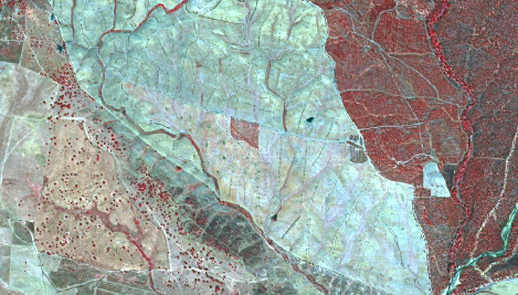 This is a false-colour infrared satellite image displaying a diverse rural landscape. The image is characterised by three main land cover types based on colour and texture. In the upper right and along the right edge, dense, healthy vegetation, likely forests or dense shrubland, appears as dark red areas, traversed by numerous thin linear features resembling tracks or paths. A prominent light blue-green linear feature, possibly a river or stream, runs vertically along the far right. The upper central and middle-right portion of the image shows a lighter greenish-blue area, suggesting less dense vegetation such as pastures, cultivated land, or sparse scrub, with visible terrain undulations and an intricate network of fine linear features. Several small, dark blue water bodies are scattered within this greenish-blue area. The lower left of the image is dominated by brownish-grey tones with scattered small, reddish dots, indicative of very sparse vegetation, individual trees, or dry, open ground. Distinct boundaries separate these different land cover types, with a curvilinear boundary separating the brownish-grey area from the greenish-blue area, and another separating the greenish-blue area from the dense red vegetation on the right. No scale bar, compass, or specific date is visible.