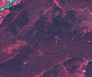 This is a false-colour satellite imagery depicting a predominantly forested landscape. Vegetation, likely dense forest, is rendered in various shades of dark red, indicating high infrared reflectance typical of healthy plant life. Lighter red areas might suggest sparser vegetation or different plant types within the forest. Several winding, thin, light-coloured linear features traverse the forested areas, resembling roads, tracks, or paths. Multiple small, irregularly shaped lighter patches are visible within the forest, possibly indicating clearings, areas of bare ground, or low vegetation. In the very top-left corner, a small cluster of bright blue-white features is visible, which could represent buildings or other artificial infrastructure. No scale bar or textual labels are present in the image.