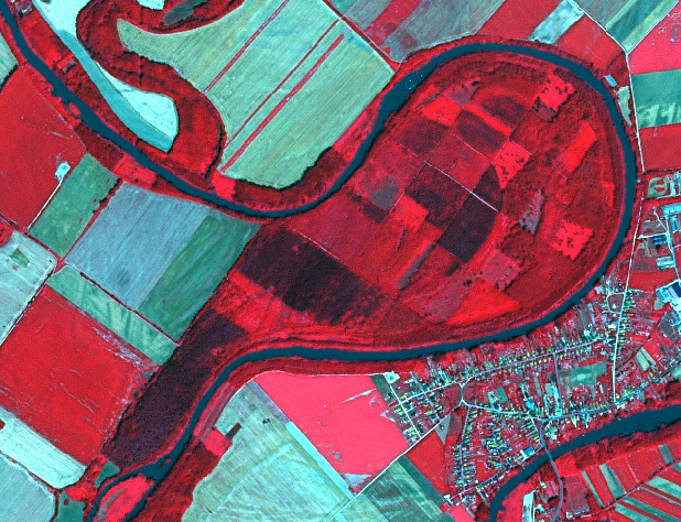 This False Colour Infrared (FCIR) satellite or aerial image depicts a landscape with a winding river, agricultural areas, dense vegetation, and a human settlement. A prominent river, appearing dark blue/black, flows through the scene, exhibiting a distinct meander. Dense, healthy vegetation, primarily forests and tree lines, is highlighted in various shades of deep red, concentrated along the riverbanks and forming a large, curved block within the river's bend. Surrounding these natural features are numerous agricultural fields, discernible as distinct rectangular and irregularly shaped parcels. These fields display a range of colours, including light green, pale beige, and lighter red tones, suggesting different crop types, growth stages, or bare soil. On the right side of the image, adjacent to the river, a settlement is visible, characterized by a network of white roads and numerous small, white or light blue coloured buildings, indicating urban development. No specific dates, geographic labels, or scale are visible.