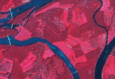 An aerial or satellite false-colour infrared image depicts a diverse rural landscape. Prominent winding dark blue features represent water bodies, likely rivers or streams. Extensive areas of bright red and magenta indicate dense, healthy vegetation, primarily forests and various agricultural fields. Variations in the red and magenta intensity suggest different vegetation types or growth stages. Thin, light blue or white linear features traverse the landscape, cutting through vegetated areas and delineating the boundaries of polygonal agricultural fields, potentially representing roads, tracks, bare soil, or non-vegetated pathways. No scale, orientation, or temporal information is visible.
