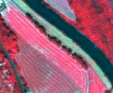 High-resolution false-colour infrared satellite or aerial imagery depicting an agricultural landscape. The image features several elongated parcels of land. The dominant areas are bright pink/magenta with fine parallel linear textures, suggesting cultivated fields or bare soil. Other areas appear in darker red tones, likely representing different types of vegetation or soil. Two prominent, distinct linear features traverse the scene: one is a narrow band of light green vegetation, and the other is a narrow band of very dark blue/black, characteristic of a water body such as a river or canal in false-colour infrared. No scale bar, compass, legend, or geographic labels are visible.