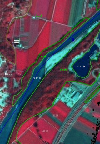 Choropleth map displaying land cover classification polygons overlaid on a false-colour infrared satellite image (SPOT-5, 2.5 m resolution, 1/2/3 Band Combination) from 2011-10-04. The image serves as an example for the classification of 'Lines of trees along river with Strahler level 3 → Forest close to riparian zones.' The data source is CNES 2011©, Distribution Airbus DS/Spot Image. The map illustrates various land cover classes delineated by green polygon boundaries along a river. The river itself is marked by a blue line with a visible label '6', indicating a Strahler stream order 6 for this main river segment. Within the river channel, a light blue/cyan area represents a sand or gravel bar. The classified land cover polygons and their corresponding codes are: * **9110**: 'Riparian wooded formations' (appears as dark red/magenta vegetation immediately bordering the river). * **3110**: 'Broad-leaved forest' (appears as dark red/magenta vegetation, adjacent to the riparian formations). * **9210**: 'Inland waters' (a distinct dark blue lake or pond feature). * **2110**: 'Non-irrigated arable land' (appears as large red/magenta rectangular fields in the upper and lower sections of the map). * **6100**: 'Extensive pastures' (appears as a greenish-brown area on the far left edge of the map). * **2321**: 'Complex cultivation patterns' (appears as smaller, mixed agricultural plots in the bottom right section). * **4112**: 'Road and rail networks and associated land' (a linear feature, likely a road or railway, with adjacent land cover in the bottom right). * **1215**: [Unreadable], an urban or artificial surface class in the bottom right corner. The map demonstrates the detailed classification of land cover, particularly focusing on the distinction and delineation of riparian zones and other surrounding land uses in a riverine landscape.