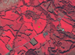 This is a false-colour infrared aerial or satellite image depicting a rural landscape. Vegetation appears in various shades of red and magenta, indicating healthy green vegetation in the visible spectrum. The image features numerous irregularly shaped agricultural fields or grasslands (bright red/magenta), many of which are delineated by darker linear features, likely hedgerows, small roads, or field boundaries. Scattered throughout the landscape are small clusters of white or grey rectangular structures, which are likely buildings, often surrounded by darker, possibly impervious or bare ground areas. Patches of denser, darker red vegetation, potentially woodland or forest, are also visible. A single bright green circular marker is centrally placed within a large, bright red field, indicating a specific point of interest or sampling location. No scale bar or textual annotations are visible.