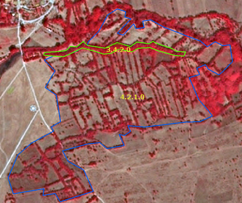 A satellite image captured by SPOT-5 (2.5 m resolution) on 2011-10-04, sourced from CNES 2011© and distributed by Airbus DS/Spot Image, shows an area near Omex, France. The image uses a 1/2/3 Band Combination, rendering healthy vegetation in red, while bare ground or dry vegetation appears brownish. The map displays a heterogeneous landscape indicative of agricultural or semi-natural areas with significant tree and shrub cover. A large polygonal area is delineated by a blue outline, with the Land Cover / Land Use (LULC) classification label '4.2.1.0' placed within it. This area contains a mosaic of reddish vegetation patches and brownish areas. Within this blue-outlined area, a distinct linear feature is highlighted by a green outline and labelled with the LULC code '3.4.2.0'. This green-outlined feature represents a dense strip of reddish vegetation, likely a hedgerow or a line of trees. The image illustrates examples of land cover features relevant to detailed nomenclature guidelines for grassland areas.