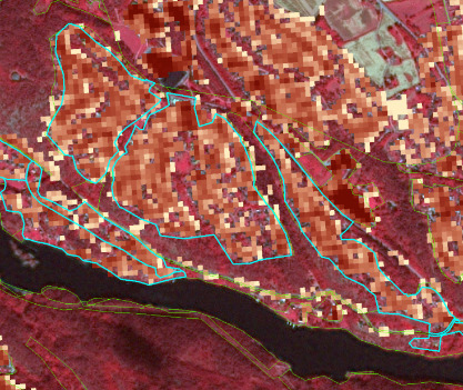 The image is a false-colour infrared (FCIR) satellite map showing a vegetated landscape with a river. The underlying satellite imagery displays dense vegetation in shades of deep red and maroon, suggesting healthy biomass, while a river appears as a dark blue/black band running horizontally across the lower part of the map. Lighter, more disturbed land or bare soil patches are also visible. Overlaid on this imagery is a pixelated grid displaying data in a colour gradient from light yellow to dark reddish-brown. These pixels are distributed across the land area, with lighter yellow pixels appearing more scattered and darker reddish-brown pixels tending to cluster, often associated with what appear to be built-up areas or infrastructure in the underlying imagery. Several irregular polygonal zones are delineated by thick light blue outlines, enclosing many of the areas with denser, darker pixel overlays. Additionally, thin green lines delineate other boundaries, particularly along the river and surrounding some vegetated areas. No legend, scale bar, compass, or specific geographic location labels are visible.
