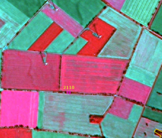 The image is a false-color composite satellite photograph depicting various agricultural fields, likely derived from Landsat imagery, showcasing typical colour patterns of arable land. Different field parcels appear in shades of magenta, red, and green. A prominent field in the lower-middle section is explicitly labelled with the land cover class '2110', which, in the context of CORINE Land Cover (CLC) classifications, represents a specific type of arable land. The varying colours indicate different crop types or stages of vegetation growth. This imagery serves as a visual aid for methodological advice in land cover classification, particularly for discriminating between arable land and managed grasslands.