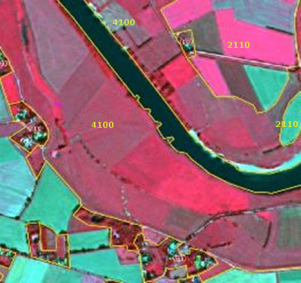 Choropleth map using false-colour infrared (FCIR) satellite imagery from Spot 5 (2.5 m resolution, 1/2/3 Band Combination), depicting an unspecified rural area, likely in France. The image source is CNES 2011©, Distribution Airbus DS/Spot Image. It illustrates different land cover types, with polygons outlined in yellow. Areas labelled '4100' are shown in shades of red-magenta and represent 4.1.0.0 Managed grassland. Areas labelled '2110' are shown in lighter pink-reds and represent 2.1.1.0 Non-irrigated arable land. A prominent dark blue/black river segment flows through the scene, bordered by both land cover types. Small greyish patches indicate built-up areas or settlements.