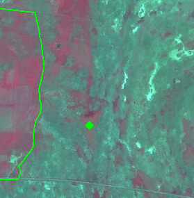 This is a false-colour satellite image depicting an area of varied land cover. Areas of dense or healthy vegetation are represented by shades of green and teal, while regions with sparser vegetation or different land cover types appear in reddish-brown hues. A distinct bright green line forms a boundary along the left side of the image. This boundary separates a predominantly reddish-brown area on the far left from a more heterogeneous landscape to its right, which features a mix of green/teal and reddish-brown tones. A bright green diamond-shaped marker is centrally located within the mixed land cover area. A faint linear feature, consistent with a road or track, is visible towards the bottom-center of the image. No specific geographic location, scale, legend, or acquisition date is provided.