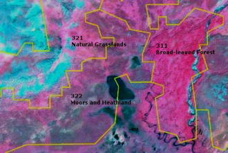 This is a false-colour satellite map showing distinct CORINE Land Cover (CLC) types within a natural landscape, likely in Europe. Boundaries between the land cover classes are delineated by yellow lines. A large area on the right is classified as '311 Broad-leaved Forest' and appears in a magenta/pinkish-red colour. A dark blue/black winding river flows through this forest area. To the left of the forest, an area is labelled '321 Natural Grasslands', depicted in cyan/light blueish-purple. Below the natural grasslands, a zone is labelled '322 Moors and Heathland', rendered in a darker blueish-purple/brown. A dark blue/black lake is prominently situated within this 'Moors and Heathland' area. A small numeric label '412' is visible near the bottom right within the 'Broad-leaved Forest' area, but its corresponding land cover class name is [unreadable]. No scale bar, compass, or specific date is visible.
