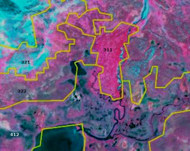 This is a false-colour infrared satellite map of a mountainous area near Kiruna, Sweden, specifically south of Kebnekaise, dated 2013-07-24. The image was captured by SPOT-6 at 1.5 m resolution, using a Band Combination (3/4/2) (CNES 2013©, Distribution Airbus DS/Spot Image). Yellow polygons delineate different land cover classes, each marked with a three-digit CORINE Land Cover (CLC) code. The primary land cover classes shown are: * **311 (Broad-leaved forest):** Appears in intense red/magenta. These areas are concentrated in the central-upper and upper-right parts of the image. * **321 (Natural grasslands):** Appears in greenish-blue to grey hues. This class is visible in the upper-left and central-left regions. * **322 (Moors and heathland):** Appears in purple-grey tones, located in the mid-left area. * **412 (Peat bogs):** Appears in dark purplish-blue tones, found in the lower-left and central-lower parts, often adjacent to water bodies. Water bodies, including a meandering river and several lakes, appear dark blue to black and are notably present in the central and lower-left sections of the map. The spatial distribution shows a mixture of forest, grassland, moorland, and peat bog environments typical of a subalpine/subarctic mountainous landscape, with water features often integrated with peat bogs.