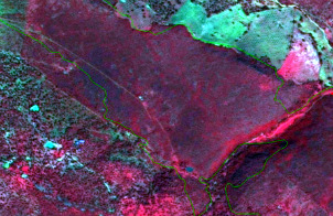 A false-colour infrared satellite image of a landscape featuring Mediterranean scrubs in Tren, Albania, captured on 2011-08-22 by SPOT5 with 2.5 m resolution. The image uses a 1/2/3 band combination (typically Near-Infrared, Red, Green mapped to Red, Green, Blue display channels), where healthy vegetation appears in reddish to purplish hues. Dominant features include extensive areas of dense reddish-purple vegetation, consistent with scrubland or matorral, delineated by overlaid green polygon boundaries suggesting land cover classification units. Some areas show lighter green tones, possibly indicating different vegetation types or moisture levels, while small, bright blue patches likely represent water bodies or sparsely vegetated ground. The image source is CNES 2011©, Distribution Airbus DS/Spot Image.