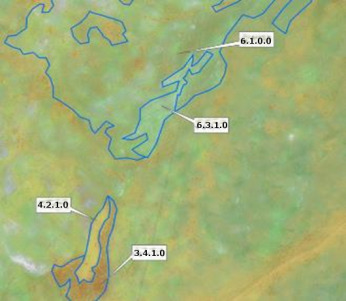 This map displays an example of land cover classification in the Ölands alvar limestone plain in Sweden, showing delineated areas on a satellite image background. Several land cover polygons are outlined in blue. Specific labelled polygons include: `6.1.0.0` (Sparsely vegetated areas), `6.3.1.0` (Bare rocks and debris), `4.2.1.0` (a type of Grassland or Heathland and scrub), and `3.4.1.0` (a type of Woodland and forest), which also has a brown fill within its blue outline. The underlying imagery shows a mosaic of green, brown, and yellowish tones corresponding to vegetation and bare ground. No scale bar, compass, legend, or data source reference year is visible. The map illustrates the detailed delineation of various land cover types in a complex natural environment.