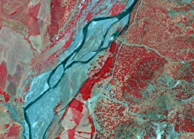 A false-colour infrared satellite image showing a landscape dominated by a wide, braided river channel. Water and bare earth in the riverbed appear in shades of light blue-grey and light brown. Surrounding land cover is depicted in red hues, characteristic of infrared imagery where vegetation reflects strongly: dense vegetation (likely forest or dense scrub) is shown in bright red, particularly on the right side of the river and in patches on the left. Lighter pink-red and brownish areas indicate sparser vegetation, agricultural fields, or bare soil. Several small, light-coloured structures, possibly buildings or parts of settlements, are visible along the river's right bank. Faint linear features, potentially tracks or roads, traverse the landscape.