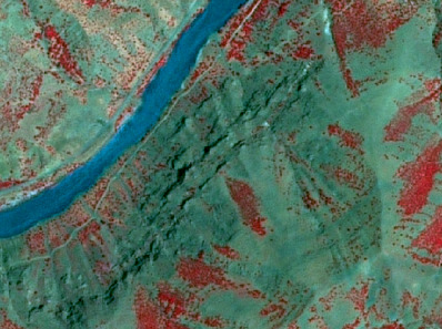 This false-color satellite image displays a natural landscape featuring a prominent blue river flowing diagonally from the top-left towards the bottom-right. Adjacent to the river, lighter green areas suggest riparian zones or grasslands. The surrounding land cover is dominated by shades of green and scattered patches of bright red. The red areas indicate dense, photosynthetically active vegetation (e.g., forests or shrublands) as typically rendered in false-color infrared composites. The green-teal areas likely represent sparse vegetation, grasslands, or bare ground. A distinct, dark, linear ridge or escarpment runs parallel to the river, revealing significant topographic relief through shadow casting. The overall terrain shows undulating patterns, possibly indicative of erosion or geological formations. No scale bar, compass, or temporal information is visible.