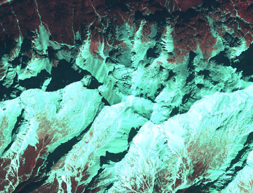 This is a false-colour satellite image depicting a rugged mountainous landscape. The image displays a complex terrain characterized by steep slopes, ridges, and deep valleys. Dominant land cover types include: 1. Areas of dense vegetation, appearing in deep reddish-brown hues, concentrated in the upper-left and scattered across various slopes. This false-colour representation typically indicates healthy vegetation reflecting strongly in the near-infrared spectrum. 2. Extensive areas of bright cyan/light blue, which likely represent snow, ice, or highly reflective bare rock formations. These areas exhibit undulating textures and cover significant portions of the visible terrain. 3. Very dark, almost black areas, primarily found in deep shadows within valleys and crevices, indicating lack of direct sunlight or possibly water bodies. The imagery highlights the topographical variations and distinct land cover patterns of a high-altitude or cold-climate region. No specific scale, location, or date information is visible.