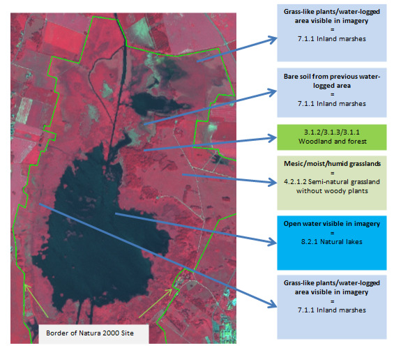 A map displaying land cover classification examples within a Natura 2000 (N2K) Site, likely in Central Spain, overlaid on what appears to be false-colour satellite or aerial imagery. The green outline delimits the 'Border of Natura 2000 Site'. Blue arrows point from specific features on the map to descriptive text boxes on the right, classifying the land cover according to a hierarchical nomenclature system. The classifications shown are: * 'Grass-like plants/water-logged area visible in imagery' classified as '7.1.1 Inland marshes'. * 'Bare soil from previous water-logged area' also classified as '7.1.1 Inland marshes'. * An area identified as '3.1.2/3.1.3/3.1.1 Woodland and forest'. * 'Mesic/moist/humid grasslands' classified as '4.2.1.2 Semi-natural grassland without woody plants'. * 'Open water visible in imagery' classified as '8.2.1 Natural lakes'. The map illustrates the application of land cover / land use (LCLU) categories to a complex wetland environment, distinguishing between different water-logged areas, open water bodies, and surrounding vegetation types within a protected area framework.