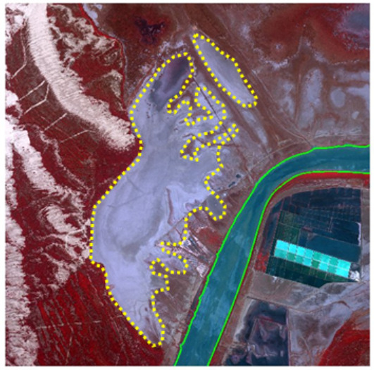 A SPOT-5 satellite image (2.5 m resolution, 1/2/3 Band Combination) of a landscape in Doñana National Park, Spain, dated 2011-08-11. The image shows several distinct land cover types. A large, irregularly shaped area, outlined by a dotted yellow line, appears as a pale grey-blue surface with darker blue water patches, indicative of a waterlogged, transformed salt marsh without active agricultural use, consistent with Copernicus Land Monitoring Service (CLMS) categories like *6.1 Sparsely vegetated areas* or *8.1.1.0 Coastal salt marshes*. To the right, a prominent river or water channel, outlined by a solid green line, flows vertically and appears turquoise. Adjacent to the river on its right side, a series of rectangular plots are visible, some in bright cyan and others in dark green, indicating active agricultural fields, specifically identified in context as 'Rice fields'. The area to the far left of the yellow-outlined marsh shows reddish-brown land with distinct linear patterns, suggesting either natural vegetation or disturbed soil. The image source is CNES 2011©, Distribution Airbus DS/Spot Image.