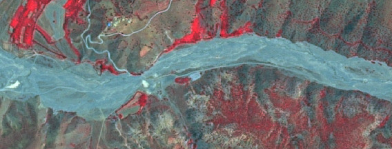This is a False Colour Infrared (FCIR) satellite image showing a landscape dominated by a wide, braided, light blue/grey riverbed or wadi running from left to right across the image. The blue/grey colour likely indicates exposed sediment, sand, or gravel, possibly water-filled in places but primarily dry. Flanking the riverbed are areas of bright red, indicating healthy vegetation, which is characteristic of FCIR imagery where near-infrared light is mapped to red. These red vegetated areas are particularly dense along the immediate banks and extend into the surrounding hilly terrain. Other areas show muted green and brown tones, suggesting sparser vegetation or bare soil. In the upper left quadrant, several white linear features are visible, likely representing unpaved roads or tracks winding through the landscape. A cluster of small, light-coloured structures (possibly buildings) is also visible in the upper-left, near the tracks. No scale bar or specific geographic location is identifiable from the image.