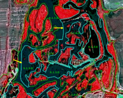 A false-color infrared satellite image depicting land cover classification polygons within a riverine system. Healthy, dense vegetation appears in bright red, while water bodies appear dark blue or black. Other land cover types are visible in shades of brown and dark green. The image features several distinct land cover classification polygons: * Water bodies are outlined in light blue. A large central water body is labelled `9.1.1.0`. Several smaller, irregularly shaped water bodies, likely permanent dead side-arms, are labelled `9.1.3.0`. * Vegetated areas, appearing bright red, are outlined in green and labelled with classification code `7.1.0.0`. Two yellow arrows are present; one points from a `9.1.3.0` area towards the `9.1.1.0` water body on the left, and another from a `9.1.3.0` area towards the `9.1.1.0` water body on the right. This image serves as an example for classifying permanent water bodies and surrounding vegetation within river systems, consistent with high-resolution imagery like SPOT-5 with a 2.5 m resolution and a 1/2/3 band combination, as discussed in the context of Danube river mapping.