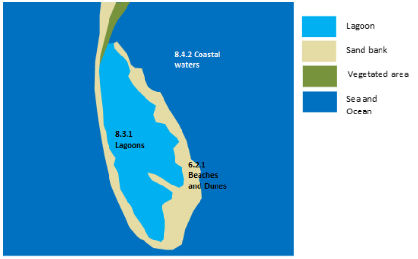 This schematic landscape diagram illustrates the classification of land cover / land use (LCLU) types within a typical coastal lagoon environment, referencing specific classification codes. The diagram depicts a body of water classified as 8.3.1 Lagoons (light blue) which is largely enclosed by a land barrier (beige). This land barrier is identified as a Sand bank in the legend and includes an area explicitly labelled 6.2.1 Beaches and Dunes. On the outer side of the land barrier, a larger body of water is shown as 8.4.2 Coastal waters (dark blue), which corresponds to the general classification of Sea and Ocean in the legend. A small Vegetated area (olive green) is also shown on the land barrier at the top of the diagram. The legend defines four colour-coded classes: Lagoon (light blue), Sand bank (beige), Vegetated area (olive green), and Sea and Ocean (dark blue).