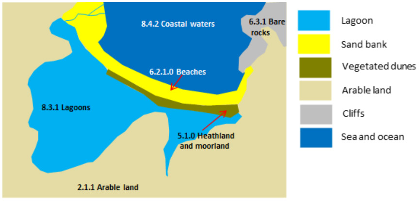 This schematic map illustrates the land cover classification of a typical coastal lagoon landscape, detailing the spatial arrangement of various environmental features. The map uses a colour-coded legend to represent distinct land cover types and includes associated classification codes. The legend on the right indicates: * Light blue: Lagoon (represented as '8.3.1 Lagoons' in the main body). * Yellow: Sand bank (represented as '6.2.1.0 Beaches' by a red arrow pointing to a segment of the yellow area). * Olive green: Vegetated dunes. * Light beige: Arable land (represented as '2.1.1 Arable land' and '5.1.0 Heathland and moorland' by a red arrow, though 'Heathland and moorland' is partially obscured). * Grey: Cliffs (represented as '6.3.1 Bare rocks' in a grey area). * Dark blue: Sea and ocean (represented as '8.4.2 Coastal waters'). The map shows a large body of '8.3.1 Lagoons' (light blue) separated from '8.4.2 Coastal waters' (dark blue) by a barrier composed of a 'Sand bank' / '6.2.1.0 Beaches' (yellow) and 'Vegetated dunes' (olive green). A small river or inlet (light blue line) feeds into the coastal waters from the upper left. Surrounding these coastal features are extensive areas of '2.1.1 Arable land' (light beige) and '5.1.0 Heathland and moorland' (light beige). On the northeastern side of the coastal waters, a grey area represents '6.3.1 Bare rocks' / 'Cliffs'. There is no scale bar, compass, or specific date.