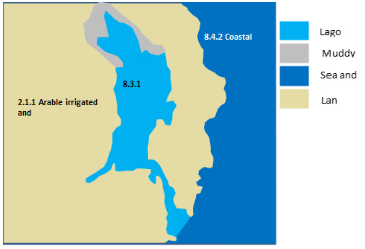 A schematic map illustrating the land cover types around the La Albufera coastal lagoon in Valencia, Spain. The map uses colour coding with a legend on the right. The legend defines: * Light blue: 'Lago' (referring to the main lagoon body, labelled '8.3.1') * Grey: 'Muddy' (an area adjacent to the lagoon) * Dark blue: 'Sea and' (representing the open sea, labelled '8.4.2 Coastal') * Light beige/sand: 'Lan' (representing land, labelled '2.1.1 Arable irrigated and' near the main landmass) The spatial pattern shows a large body of light blue '8.3.1' (Lagoons) bordered by light beige '2.1.1 Arable irrigated and' (Land) to the west and east, and dark blue '8.4.2 Coastal' (Sea and) to the far east. A grey 'Muddy' area is visible at the northern extent of the main lagoon. The lagoon appears partially separated from the open sea by a land barrier, with a connection visible in the south-eastern part.