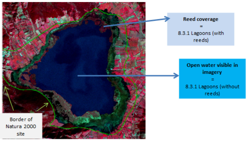 A false-colour satellite image displaying a large coastal lagoon and its surrounding land, used to demonstrate land cover classification. The deep dark blue area represents open water. Areas of dark green surrounding parts of the lagoon indicate dense vegetation, likely reed beds. The surrounding land shows varied vegetation in shades of red and light green, suggesting agricultural fields or other vegetated areas. A distinct green line delineates the 'Border of Natura 2000 site', encompassing the lagoon and some adjacent land. Two blue arrows point to specific features on the map, clarifying their classification: - An arrow pointing to the dark green vegetated area along the lagoon's edge is labelled: 'Reed coverage = 8.3.1 Lagoons (with reeds)'. - An arrow pointing to the dark blue open water area within the lagoon is labelled: 'Open water visible in imagery = 8.3.1 Lagoons (without reeds)'. The image highlights the distinction between vegetated and open water areas within a lagoon for classification purposes, both falling under the '8.3.1 Lagoons' category, and places this classification within the context of a Natura 2000 site.