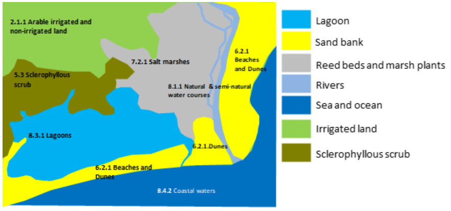 Choropleth map illustrating various land cover/land use (LULC) classes in a coastal environment, designed to clarify the classification of coastal marshes. The map displays a detailed conceptualisation of different environmental features with associated nomenclature codes and a legend. The land cover classes and their corresponding colours are: - **Lagoon** (light blue, associated with the label '8.3.1 Lagoons' on the map). - **Sand bank** (yellow, associated with the labels '6.2.1 Beaches and Dunes' and '6.2.1.Dunes' on the map). - **Reed beds and marsh plants** (grey, associated with the labels '7.2.1 Salt marshes' and '8.1.1 Natural & semi-natural water courses' on the map. The main river channel shown on the map is also depicted in this grey colour). - **Rivers** (light blue, but this colour is not used for the main river feature on the map, which is grey). - **Sea and ocean** (dark blue, associated with the label '8.4.2 Coastal waters' on the map). - **Irrigated land** (light green, associated with the label '2.1.1 Arable irrigated and non-irrigated land' on the map). - **Sclerophyllous scrub** (olive green/brown, associated with the label '5.3 Sclerophyllous scrub' on the map). The map shows a dynamic coastal zone: the dark blue '8.4.2 Coastal waters' transition inland to yellow '6.2.1 Beaches and Dunes', which enclose light blue '8.3.1 Lagoons'. Extensive grey areas representing 'Reed beds and marsh plants' are visible around the lagoons ('7.2.1 Salt marshes') and along the main river course ('8.1.1 Natural & semi-natural water courses') that flows into the coastal waters. Further inland, there is light green '2.1.1 Arable irrigated and non-irrigated land' and olive green '5.3 Sclerophyllous scrub'.