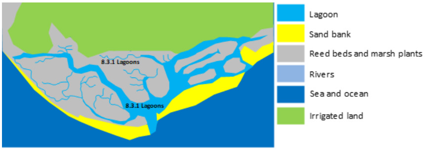Conceptual map illustrating different land cover types and their spatial relationships in a coastal environment. The legend on the right defines six colour-coded classes: Lagoon (light blue), Sand bank (yellow), Reed beds and marsh plants (grey), Rivers (light blue lines), Sea and ocean (dark blue), and Irrigated land (light green). The map features a large expanse of dark blue Sea and ocean, bordered by a yellow Sand bank. Inland from the sand bank, light blue Lagoon areas are present, marked with the label '8.3.1 Lagoons' twice. These lagoon areas are intricately connected with grey regions of Reed beds and marsh plants, which also contain smaller light blue linear features representing Rivers. Further inland, a light green area represents Irrigated land. The map schematically depicts the transition from sea to coastal lagoons, wetlands, and agricultural land, highlighting key features relevant for land cover classification within coastal zones (CZ).