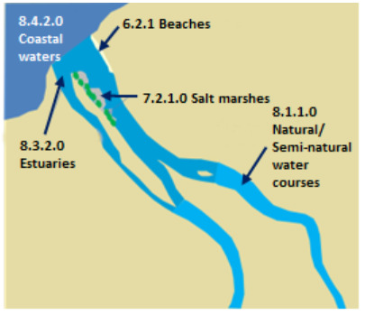 This diagram provides a schematic representation of the Riparian Zones (RZ) Level 4 land cover classification for a deltaic and coastal environment, based on the Axios Delta, Greece. It illustrates the spatial relationships between different water bodies and associated land cover types according to Copernicus Land Monitoring Service (CLMS) nomenclature. The diagram identifies the following features: - **8.1.1.0 Natural/Semi-natural water courses**: Depicted as inland river channels, coloured light blue, flowing towards the sea. - **8.3.2.0 Estuaries**: The broader light blue water body where the river meets the sea, influenced by tides, encompassing the deltaic area. - **7.2.1.0 Salt marshes**: Green-dotted areas located within the 8.3.2.0 Estuaries. - **6.2.1 Beaches**: A light beige land strip located at the interface between the estuary mouth and the open sea. - **8.4.2.0 Coastal waters**: The larger, darker blue body of open water located seaward from the estuary and beaches. The surrounding landmass is coloured light beige.