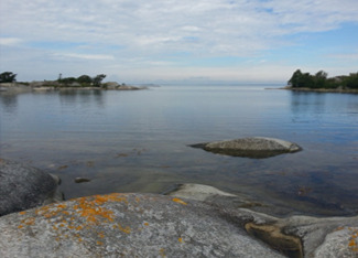 A photograph of a calm marine or large lake environment at Grinda, Sweden. The foreground features large, light grey rocks, one of which is partially covered in patches of orange lichen. Clear water with some submerged dark aquatic vegetation extends into the middle ground, reflecting the partly cloudy sky. In the background, calm water is flanked by small, tree-covered landmasses or islands under a bright, slightly overcast sky. The image illustrates a 'Marine Others' classification and is credited to K. Larsson.