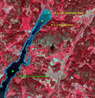 False-colour satellite imagery of a coastal inlet system illustrating different Copernicus Land Monitoring Service (CLMS) water body classifications. The image shows vegetated land in shades of red and pink, with water bodies appearing dark blue. A light blue outline delineates the entire water body system. Three distinct categories are identified by coloured dots and labels: 1. A green dot marks a broader, seaward section of the water body, labelled '7.0.0.0 Sea and ocean'. 2. A yellow dot marks an intermediate section, further inland, labelled '8.2.2.0 Estuaries'. 3. A second yellow dot marks the innermost, shallowest section of the water body, labelled '8.1.3.0 Intertidal flats'. The map provides a schematic representation of how these water body types are spatially differentiated within a single geographic feature. No scale bar, compass, or specific date is visible, but the surrounding context suggests the imagery is from Lantmäteriet, Sweden.