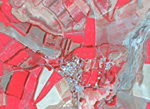 An aerial false-colour infrared image depicts a rural landscape. A compact village, characterized by whitish-grey built-up areas, is centrally located. Surrounding the village are numerous distinct, irregularly shaped agricultural parcels, predominantly appearing bright red, indicating actively growing vegetation or healthy crops. Some fields are lighter, in tan or light grey, suggesting bare soil, harvested areas, or different crop types. Linear features, likely roads or tracks, connect the village to the surrounding fields. In the upper right quadrant, an irregular, light grey and tan linear feature is visible, possibly representing a natural channel or dry riverbed. The resolution allows for discernment of individual buildings and field boundaries, consistent with high-resolution land monitoring data.