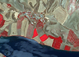A False Colour Composite (FCC) satellite image displays a rural landscape dominated by agricultural fields, a water body, and a small settlement. The image uses near-infrared wavelengths, rendering healthy vegetation in bright red. A large body of dark blue water is visible along the bottom edge, with an irregular coastline. Adjacent to the coast, and extending inland, are numerous rectangular agricultural fields. Some fields appear in vibrant red, indicating actively growing, healthy vegetation, while others are in shades of light beige and brownish-grey, suggesting bare soil, fallow land, or harvested areas. Patterns within some beige fields suggest tilled land or crop rows. In the upper-central part of the image, a cluster of white, light grey, and reddish-grey irregular shapes indicates a small human settlement with buildings and associated infrastructure. The terrain in the upper and upper-right portions of the image appears undulating or hilly, with lighter, less structured land cover.