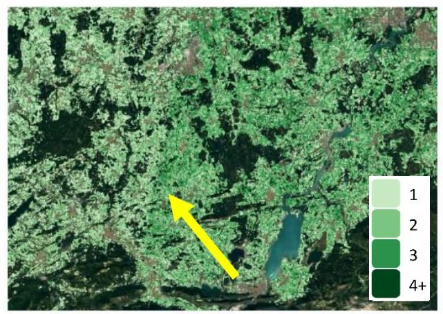 High Resolution Layer Vegetated Land Cover Characteristics - Algorithm ...