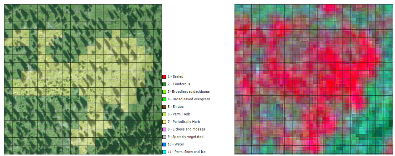 The image displays two raster maps illustrating the Copernicus Land Monitoring Service (CLMS) CLC+ (next-generation land cover/land use) Backbone Raster Product decision tree approach for evaluating area thresholds for mixed land cover in olive groves in Castile-La Mancha, Spain. The left panel shows a classified land cover map overlaid on an aerial image. The map depicts an agricultural area, likely an olive grove, with distinct patches of darker green representing tree canopy and yellow representing understory or bare soil. According to the legend, these correspond to '4 - Broadleaved evergreen' (darker green) and '7 - Periodically Herb' (yellow), reflecting the intermittent herbaceous cover in such cultivated areas. The underlying aerial imagery shows shadows cast by the trees and lighter, possibly tilled, ground between them. A legend to the right of the left panel lists 11 land cover classes and their associated colours: 1 - Sealed (red) 2 - Coniferous (dark green) 3 - Broadleaved deciduous (light green) 4 - Broadleaved evergreen (medium green) 5 - Shrubs (brown) 6 - Perm. Herb (Permanent Herbaceous) (light yellow-green) 7 - Periodically Herb (yellow) 8 - Lichens and mosses (pink) 9 - Sparsely vegetated (grey) 10 - Water (blue) 11 - Perm. Snow and Ice (light blue) The right panel displays a false-colour composite satellite image of the same area, pre-classification. This image shows spectral information with vibrant reds indicating active vegetation and green/blue tones representing other surface features, serving as the input for the land cover classification process. Both panels are overlaid with a square grid representing individual raster cells. The visual comparison demonstrates how the CLC+ decision tree processes the raw spectral data into classified land cover types, identifying areas of 'Broadleaved evergreen' trees and 'Periodically Herbaceous' ground, consistent with olive grove environments where understory growth is managed.