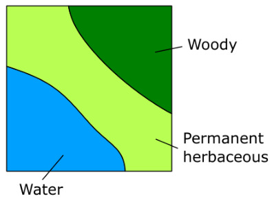 This conceptual illustration depicts a square area divided into three distinct land cover / land use (LULC) classes. The top-right portion, shaded dark green, is labelled 'Woody'. The central, light green band is labelled 'Permanent herbaceous'. The bottom-left area, coloured blue, is labelled 'Water'. This visual representation demonstrates the adjacency of these different land cover types within a single conceptual unit or pixel, aligning with class definitions for the Copernicus Land Monitoring Service (CLMS) CLC+ Backbone Raster Product. 'Woody' corresponds to CLMS class 5 (Low-growing woody plants), 'Permanent herbaceous' to class 6, and 'Water' to class 10.