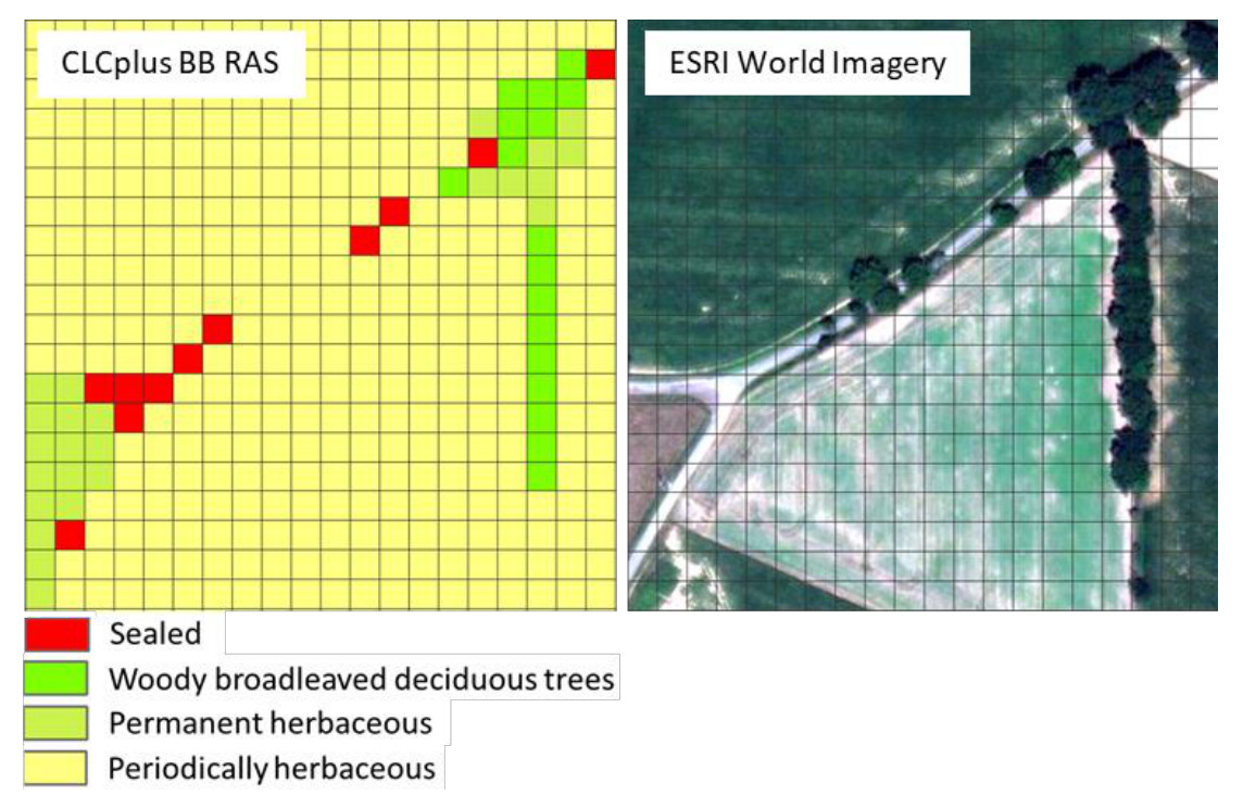 The image displays a side-by-side comparison of land cover classification from the Copernicus Land Monitoring Service plus Backbone (CLCplus BB RAS) raster product with its corresponding high-resolution ESRI World Imagery. Both panels are overlaid with a grid representing spatial resolution. The left panel, labelled 'CLCplus BB RAS', shows a classified grid with four land cover types: * Red: 'Sealed' surfaces, forming a diagonal feature suggesting a linear infrastructure like a road or path. * Green: 'Woody broadleaved deciduous trees', forming a vertical line along the right edge and some pixels in the top-right corner, indicating a tree line. * Light Green: 'Permanent herbaceous' vegetation, visible in the bottom-left corner. * Yellow: 'Periodically herbaceous' vegetation, covering the majority of the grid cells. The right panel, labelled 'ESRI World Imagery', presents the satellite imagery of the same area, showing visual evidence that correlates with the CLCplus BB RAS classification. It clearly depicts a diagonal road or track, a large agricultural field, and a distinct line of trees along the right edge, validating the classified land cover elements on the left. This comparison illustrates how CLCplus Backbone pixels, potentially representing mixed land cover, are assigned to a dominant land cover class.